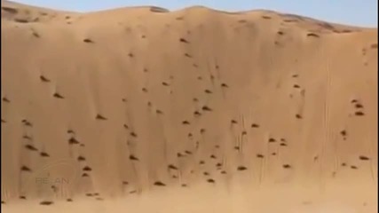 Пикап срещу голяма пустинна дюна