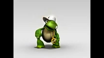 Crazy Turtle