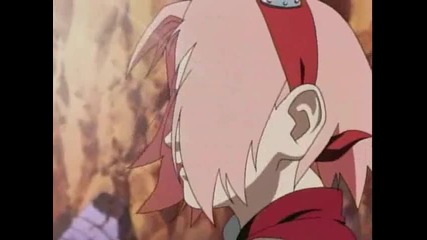 Sakura Amv