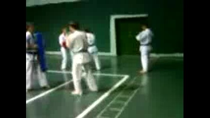 karate kyokushin-kan