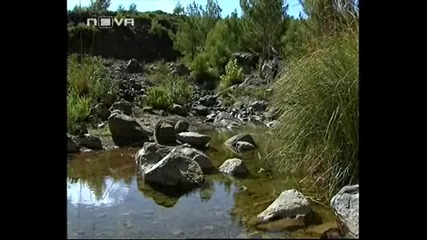 Аси - 49 епизод / 4ч.