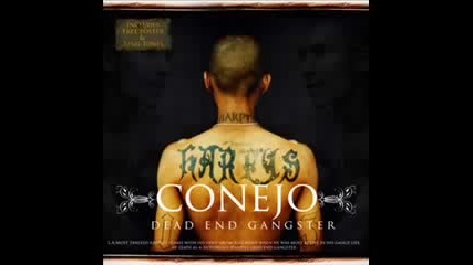 Conejo - Evaluate My Thoughts