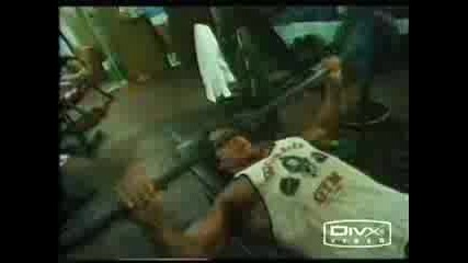Arnold
