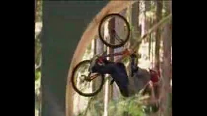 Freeride 