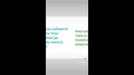 2024-11-28-194933779.mp4