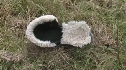 Трима мигранти загинаха при катастрофа в Сърбия