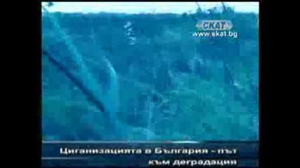 Цигани изнасилват българско момче