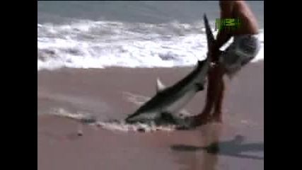 Диви и истински - Ухапване от акула 
