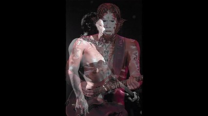 Limp Bizkit (wes Borland)