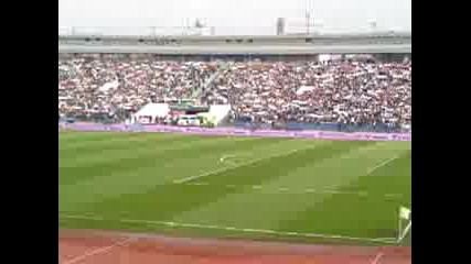 Bulgaria - kipar
