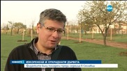 Кой изкорени и открадна сто фиданки? - обедна емисия