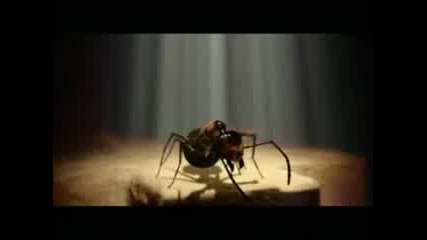 Rammstein - Links 2,  3,  4