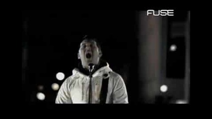 Bayside - Duality