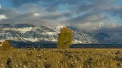 Красота ! 