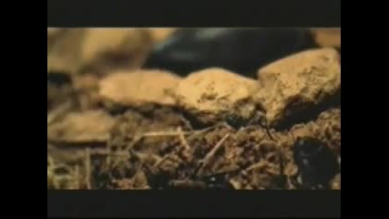 Rammstein - Links 2_3_4