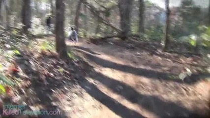 Dog Squirrel Chasing A Squirrel 