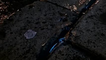 Vid_20161010_002604