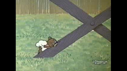 Tom & Jerry
