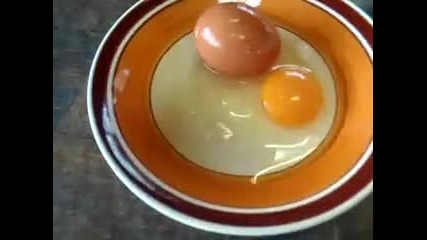 Виждали ли сте такова яйце