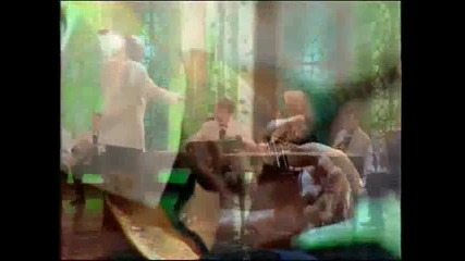 Растёт в Волгограде берёзка - Ольга Чиркова