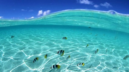[ hq ] Kami meets Moonsouls - Under The Sea (original Mix)