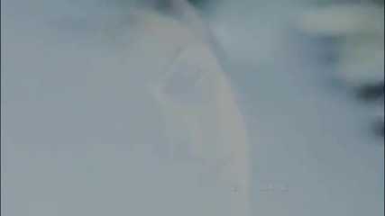 Damon and Elena - Only one