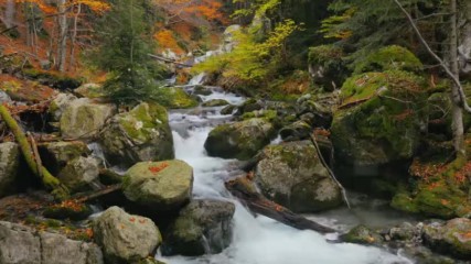 Музыка Сергея Чекалина - Дирижер, Сonductor