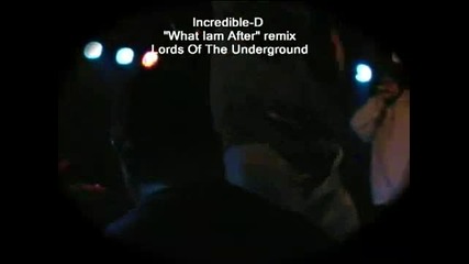 Lords ofda Underground - What Iam After rmx 