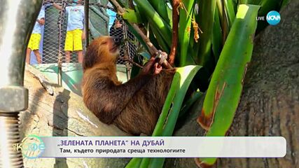 Дъждовна гора в пустинята? Ася ни отвежда на поредното чудно място - „На кафе” (23.11.2023)