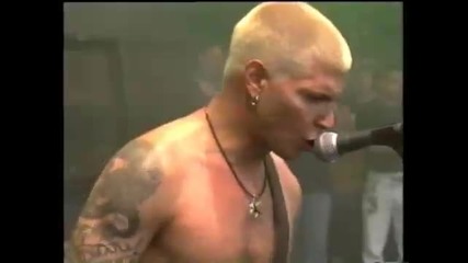 Biohazard - Pinkpop 1995 (hqdivx) 