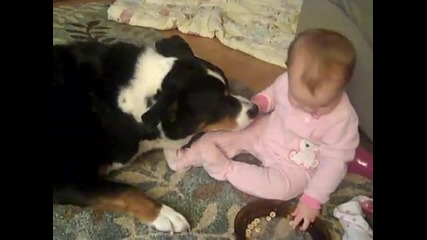 Бебето се размазва от кеф,докато храни кучето си :):):)