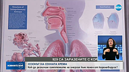 СЕЗОНЪТ НА СЕННАТА ХРЕМА: Как да различим симптомите на алергия към полен от коронавируса?