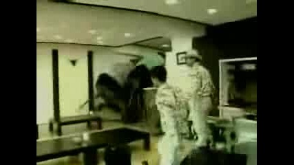 Луд Слон Дивее В Град