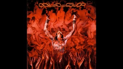 Wasp Cover Tormentor