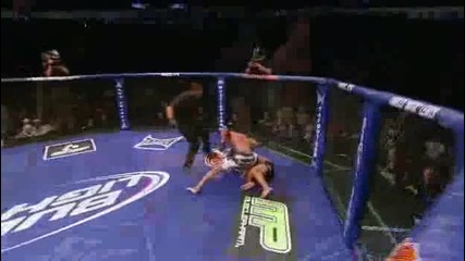 (mma) Wec 53 Henderson vs Pettis