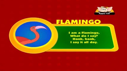 Как прави фламингото - За деца 
