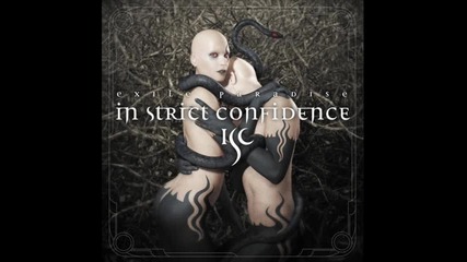 In Strict Confidence - Open skies