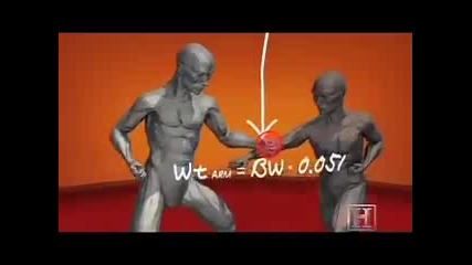 Human Weapon - Karate Punch Blocking