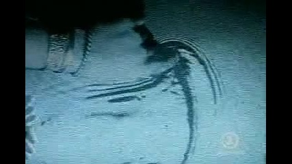 Robert Plant - Ship Of Fools