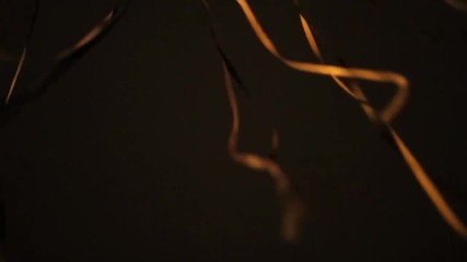 Pj Harvey - the Glorious Land