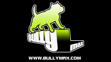 bully max :))