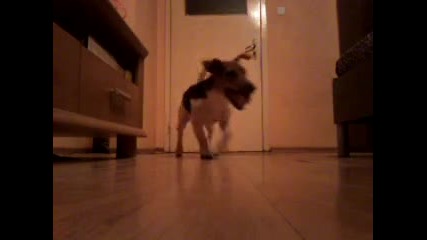 This is max !