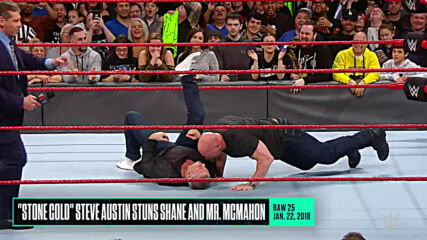 "Stone Cold" Steve Austin vs. The McMahons: WWE Playlist