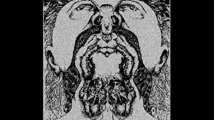 The Ant Trip Ceremony - Outskirts