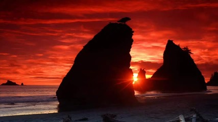 (2012) Trance Music - Mарт