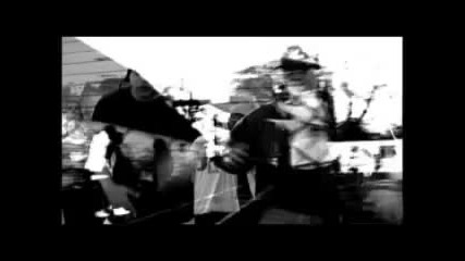 Kingsize - Gatusmart