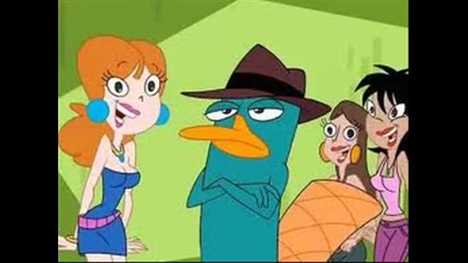 perry the platypus