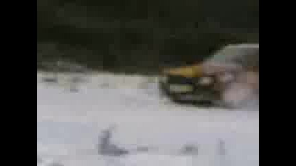 Seslavci Corsa 5