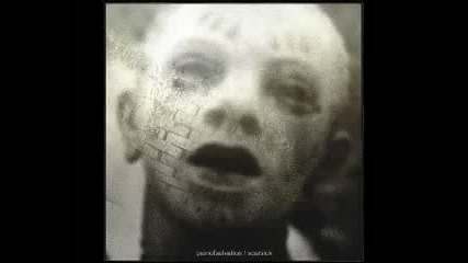 Pain of Salvation - Cribcaged