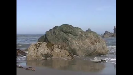Vangelis - Fields Of Coral